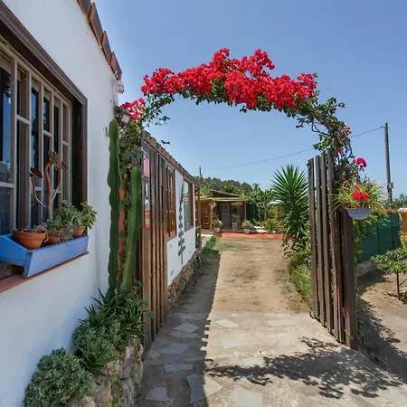 La Florida Villa Icod De Los Vinos